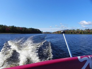 Pontoon Boat Cruise